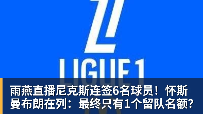 雨燕直播尼克斯连签6名球员！怀斯曼布朗在列：最终只有1个留队名额？