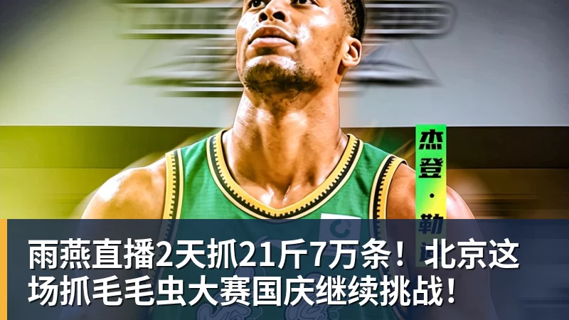 雨燕直播2天抓21斤7万条！北京这场抓毛毛虫大赛国庆继续挑战！